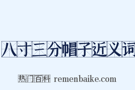 八寸三分帽子近义词是什么意思的图片